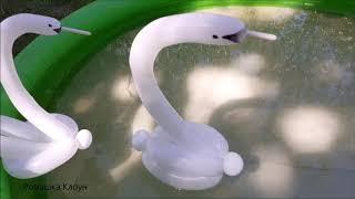 ЛЕБЕДЬ ИЗ ШАРИКА плавает эксперимент Balloon Swan Swiming YES or NOW EXPERIMENT cisne con globos