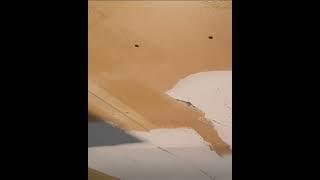 How to Plaster a Drywall Ceiling with Knauf! (Pro Tips & Tricks) #plasterwork