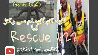 جنگلی گوہ کو ایک گودام سے پکڑا ️#rescue1122 #Pakistanilog #viralvideo