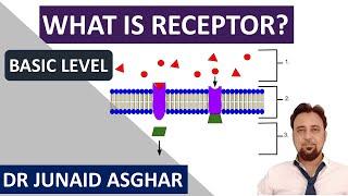 What is Receptor | Pharmacodynamics || Junaid Asghar PhD