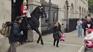 The tourist runs past the horse in the white box, and the horse kicks out and scares her.