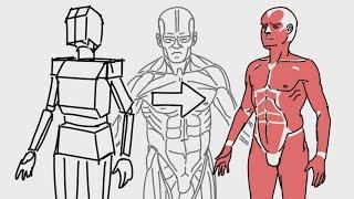 How to Draw BASICS: Anatomy