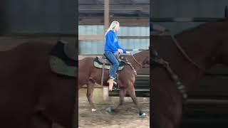 Horse Training At IWWH Jan 2023