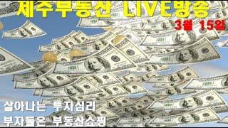 [LIVE]제주부동산 실시간방송. 살아나는 투자심리 부자들의 부동산쇼핑. 피벗설까지~ #부동산투자 #제주토지매매 #제주도투자 #제주땅값