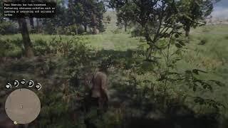 Red Dead Redemption 2 | 100% Completion Stream