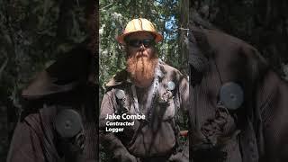 Removing hazardous trees to lessen mega wildfires