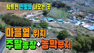 주말농장+농막용 전망 아주 좋은 땅. 매매 4천만원 경북 포항 땅 [매물998]