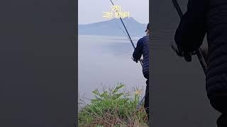 강화도 로컬 낚시  깽이 나타났다 #인생 #fishing #낚시 #숭어 #망둥어낚시
