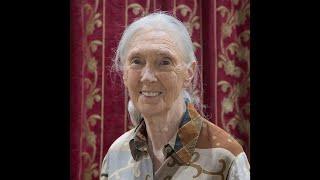 BONUS: Facing the Extinction Crisis with Jane Goodall