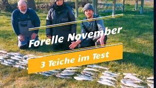 Forelle & Lachs im November | Wir testen 3 Teiche aktiv und passiv angeln