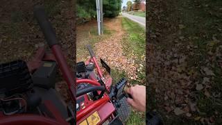 HOW TO MULCH IN LEAVES!