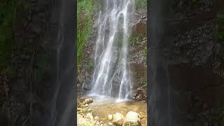 Waterfalls l Nature l Environment l Love Nature l #yt #viral