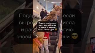 Если вы родились 10 числа. Матрица души. Нумеролог Елена Зори.