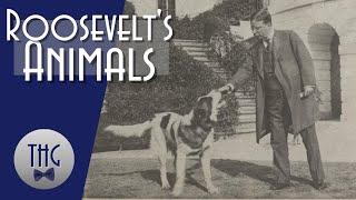 Theodore Roosevelt's Animals