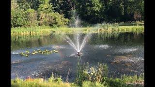 OldGuyDIY $600 Floating Pond Fountain 1/2HP 167 Gallons Per Minute 10,000 GPH 2" Sewage Pump 120V 9A