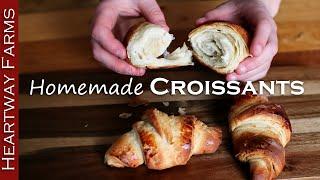 How to make Butter Croissants from Scratch