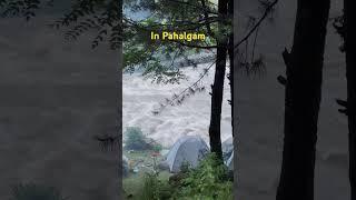 Live from Pahalgam - Amarnath Yatra 2023 Temporarily Halted #amarnath #amarnathyatra #pahalgam