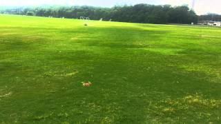 Quadcopter flying at MidsouthMakers