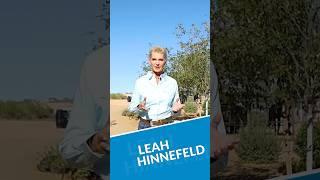 Reigning Grace Ranch Spotlight | American Dream TV Teaser Reel | Premiered Nov. 9, 2024