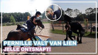 PERNILLE VALT van lien & JELLE ONTSNAPT! || VLOG Paardzoektbaas