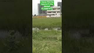 Prime location 500 Sq.yd Plot For Sale in Sector 82 A IT City MOHALI 8146661615