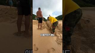 자연의 무서움. 끝에 대박…   #shorts #쇼츠 #틱톡