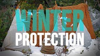 Winter Protection for Garden Plants