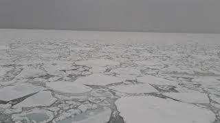 Sailing in frozen sea at - 43 degree