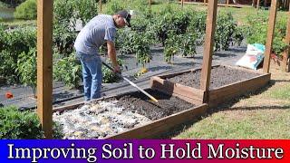 Improving raised garden bed soil to hold more moisture and planting fall garden.