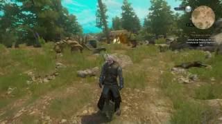 THE WITCHER 3 WILD HUNT - WIRBELWIND