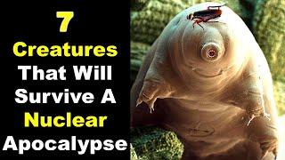 7 Creatures To Survive A Nuclear Apocalypse - Tough Creatures - Creatures to survive nuclear war