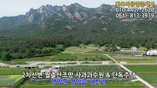 (1607) 2차선변 월출산조망 사과과수원 & 단독주택(평당 22만원) / 영암부동산 영암읍 개신리