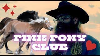 Pink Pony Club Banjolele Cover (Chappel Roan) by Danny Savage