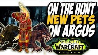 NEW PETS ON ARGUS!! Common to Rare hunter pets On The Hunt WoW Legion patch 7 3