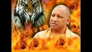Yogi Lion in Hindu