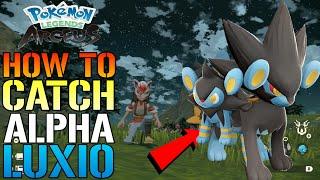 Pokemon Legends Arceus: How To Catch ALPHA LUXIO! & Evolve Him Into LUXRAY! Early