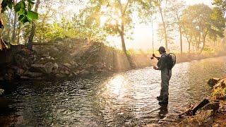 Magical Morning Mist | Fly Fishing North GA