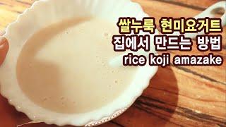 쌀누룩 현미요거트 만드는법 쌀꽃요거트 How to make rice koji amazake 일흔집밥