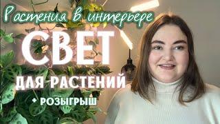 СВЕТ для РАСТЕНИЙ | фитолампы | мои РАСТЕНИЯ в ИНТЕРЬЕРЕ