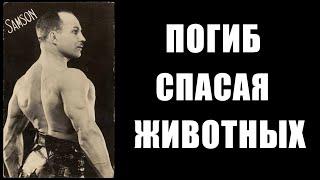 АЛЕКСАНДР ЗАСС сила не в сухожилиях а в нервной системе
