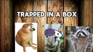 BONKREACTS: Trapped in a box #comedy #bonk