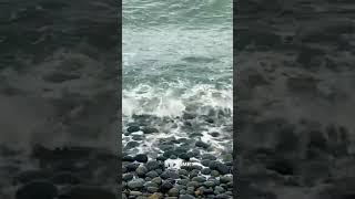 완도 Waves & Pebbles Whisper: Relaxing ASMR on Mongdol Beach #Wando #asmr