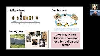 Interactions Among Bee Species with Dr. Diana Cox-Foster