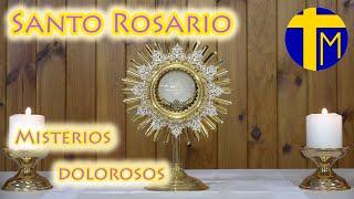 Santo Rosario. María con nosotros. Misterios Dolorosos (martes y viernes). Ante el Santísimo.