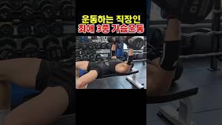 운동하는 직장인 최애 3종 가슴운동 #운동하는직장인 #가슴운동 #덤벨프레스 #벤치프레스