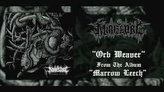 MIRE LORE - MARROW LEECH [OFFICIAL ALBUM STREAM] (2018) SW EXCLUSIVE