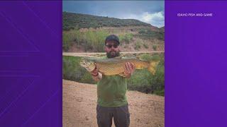 Idaho man catches record 9.13-pound tiger trout