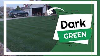 Dark GREEN Lawn // 3 Easy Steps