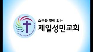 [수요일예배][누가복음(눅) 20 : 9~18][추진영 목사] 2024. 9. 18