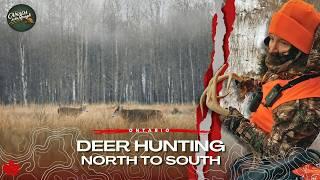 Whitetail Hunting North to South | Ontario | Canada in the Rough